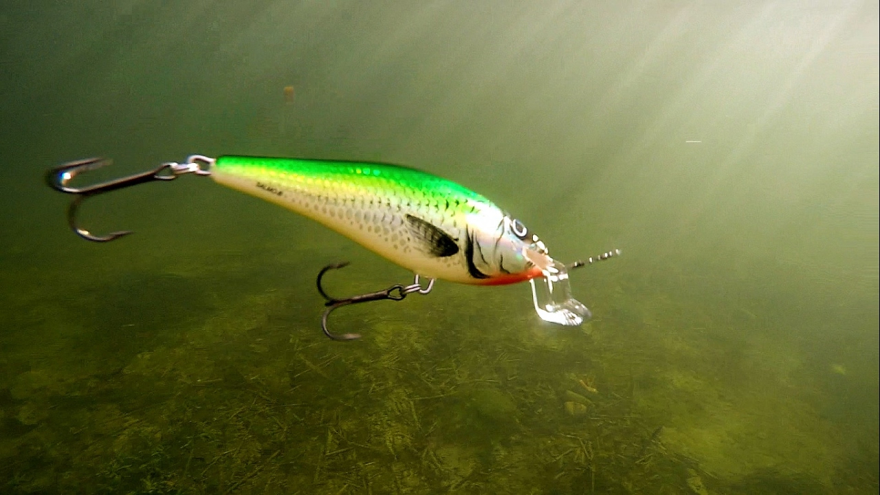 How to use & film underwater Salmo fishing lures for pike, muskie, bass. Воблеры для щуки и окуня