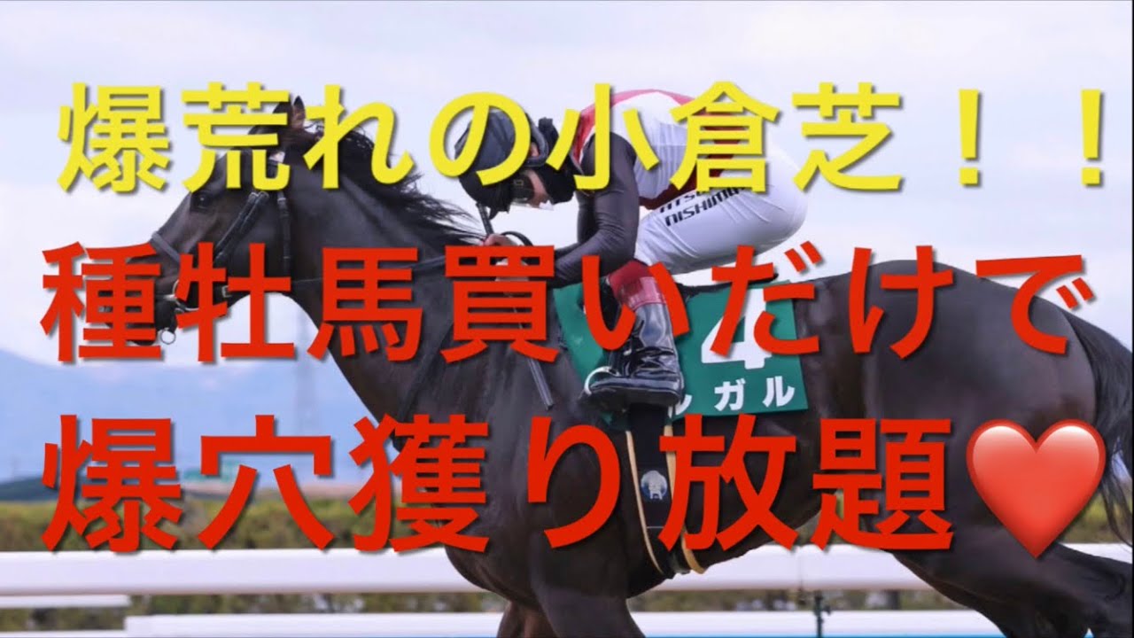 【競馬】爆荒れ小倉芝‼️血統買いで爆儲け【競馬検証】