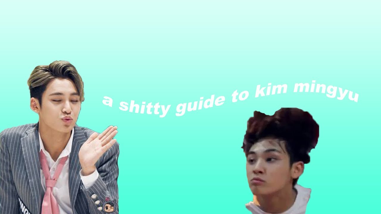 a shitty guide to kim mingyu