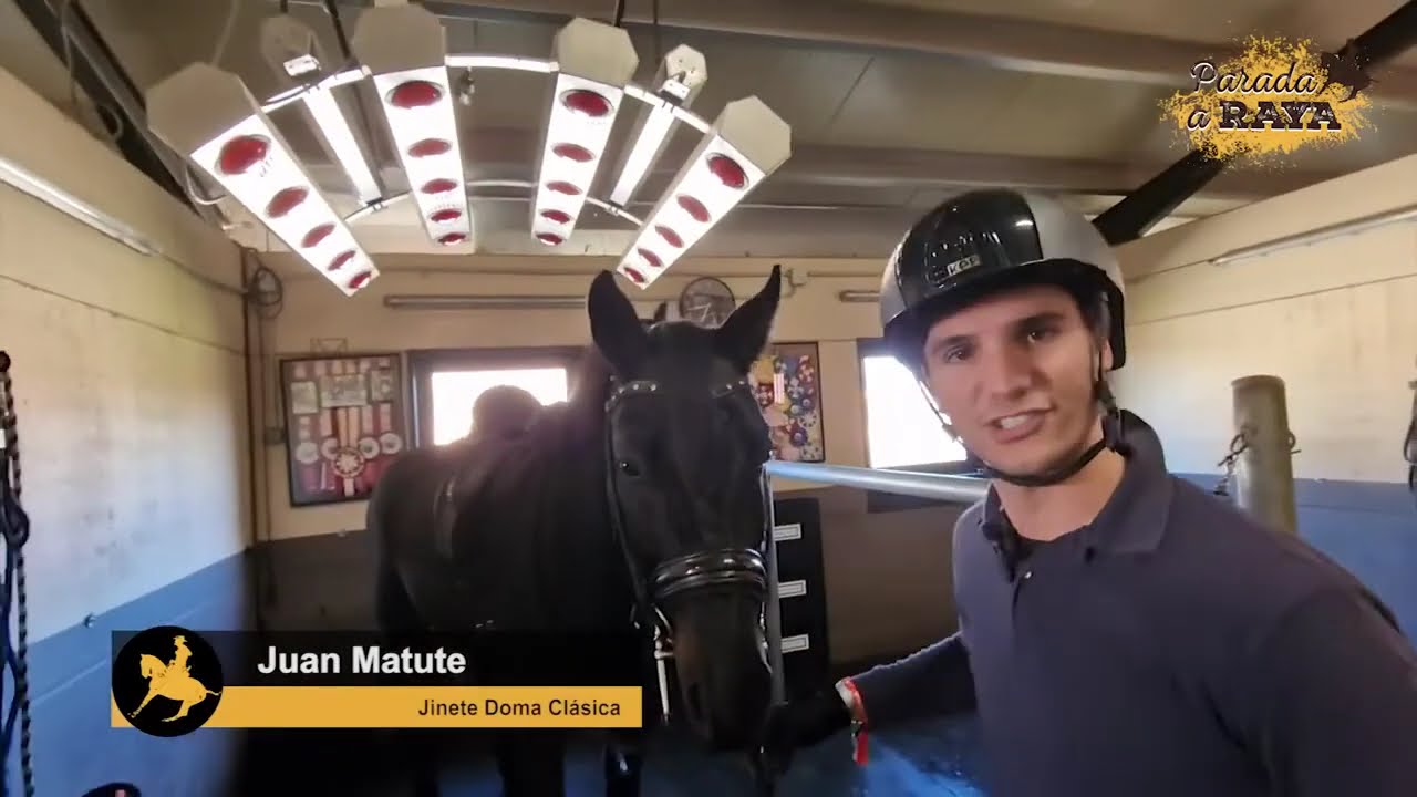 Juan Matute nos enseña sus secretos para el entrenamiento de los caballos