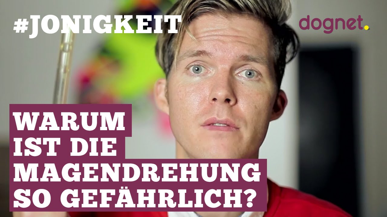 Warum ist die Magendrehung so gefährlich - #Jonigkeit 02
