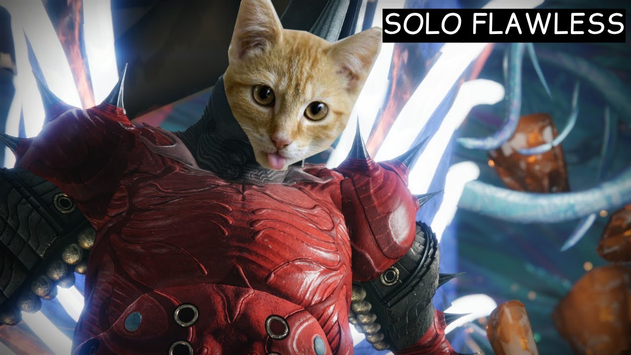 Solo Flawless Root of Nightmares | Hunter - Episode Heresy: Act II
