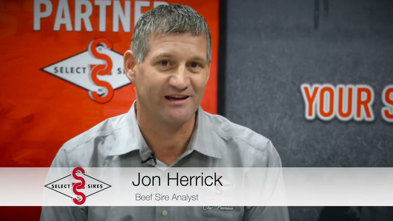 The Select Series 2022: Angus Breed Leaders - $Maternal Masters