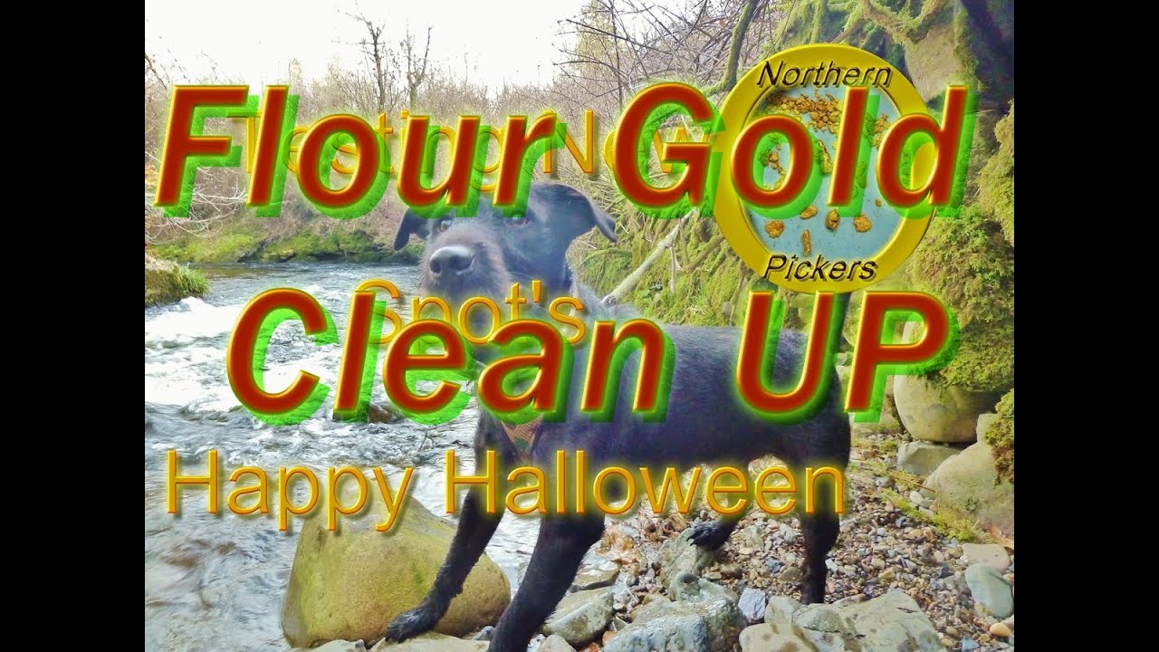 Halloween special, gold panning at home.