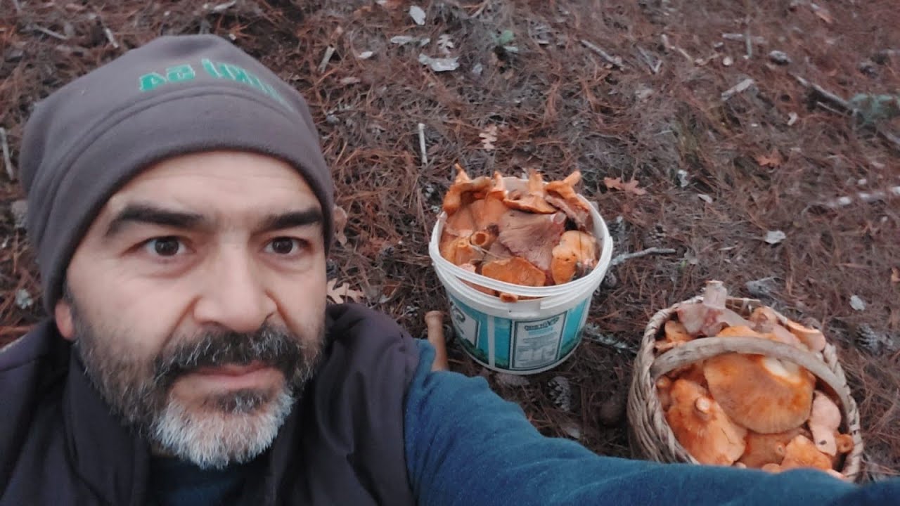 Bu kadarını beklemiyordum.