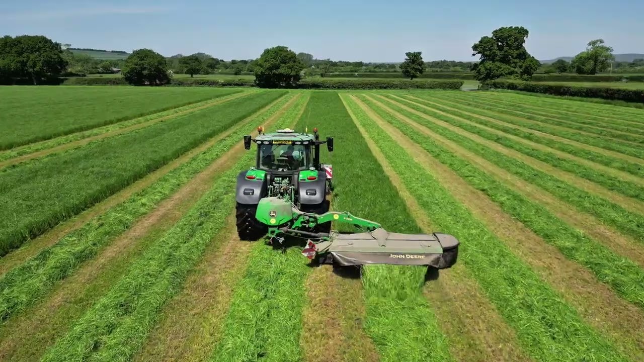 john deere 6r 185 mowing