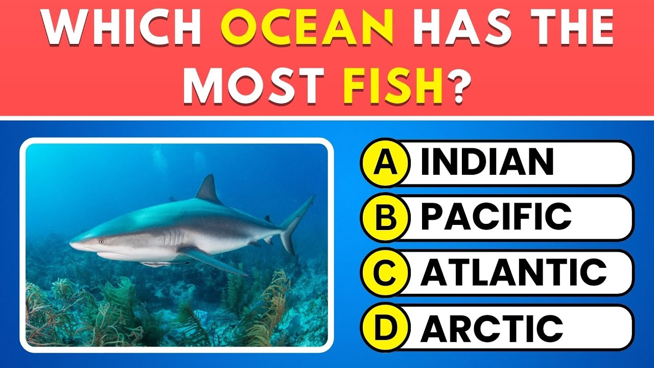 Can You Pass This General Knowledge Quiz? 🧠 Try These 30 Trivia Questions Now! 📚
