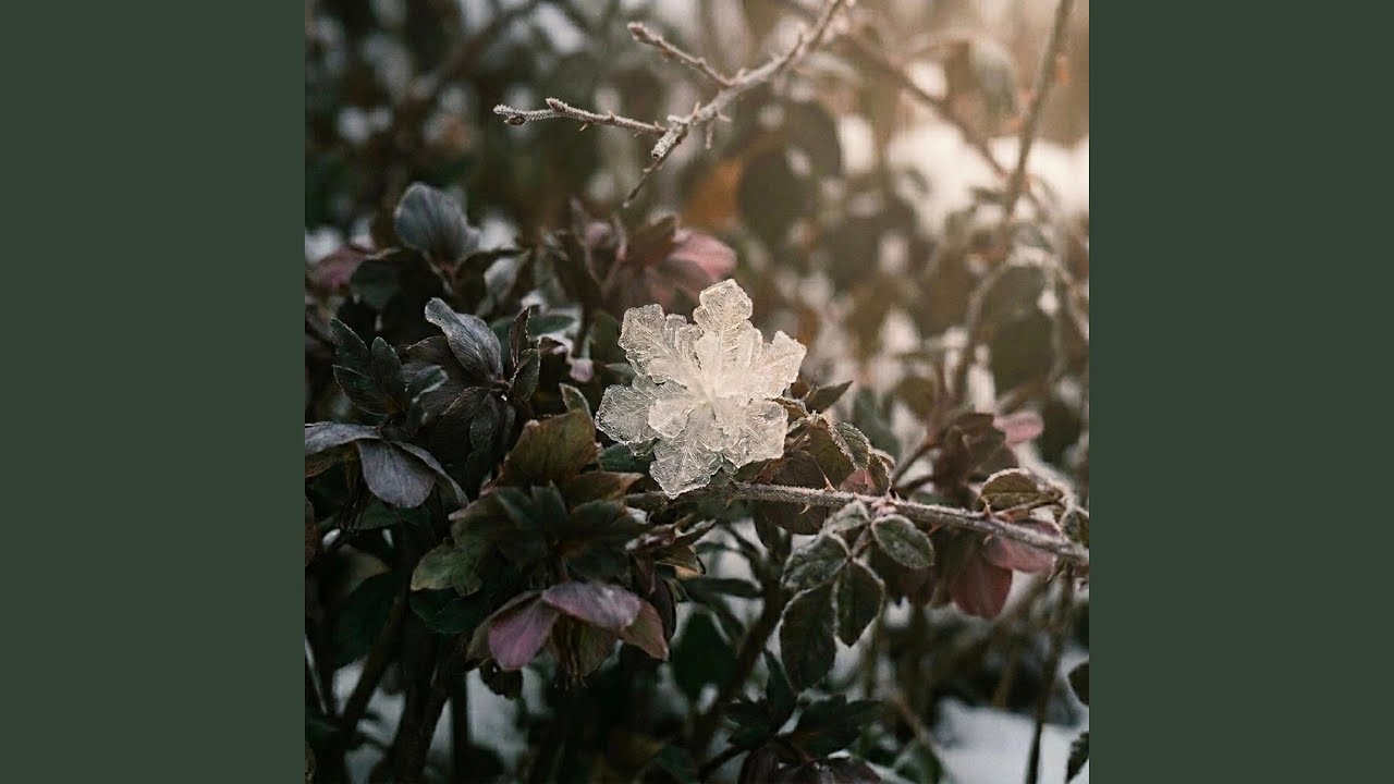 Ice Flower