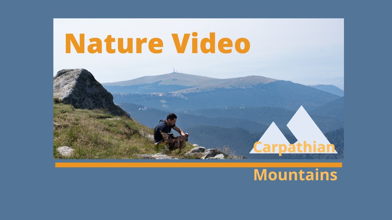 Nature and wildlife video compilation | Fox photos | Water and rivers