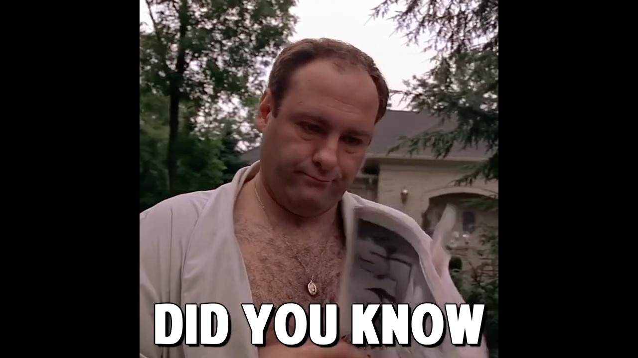 Did you know that in THE SOPRANOS...