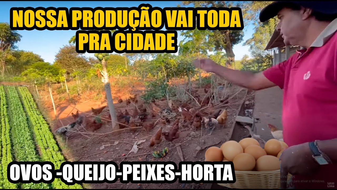 UM SONHO DE SÍTIO ALTAMENTE PRODUTIVO
