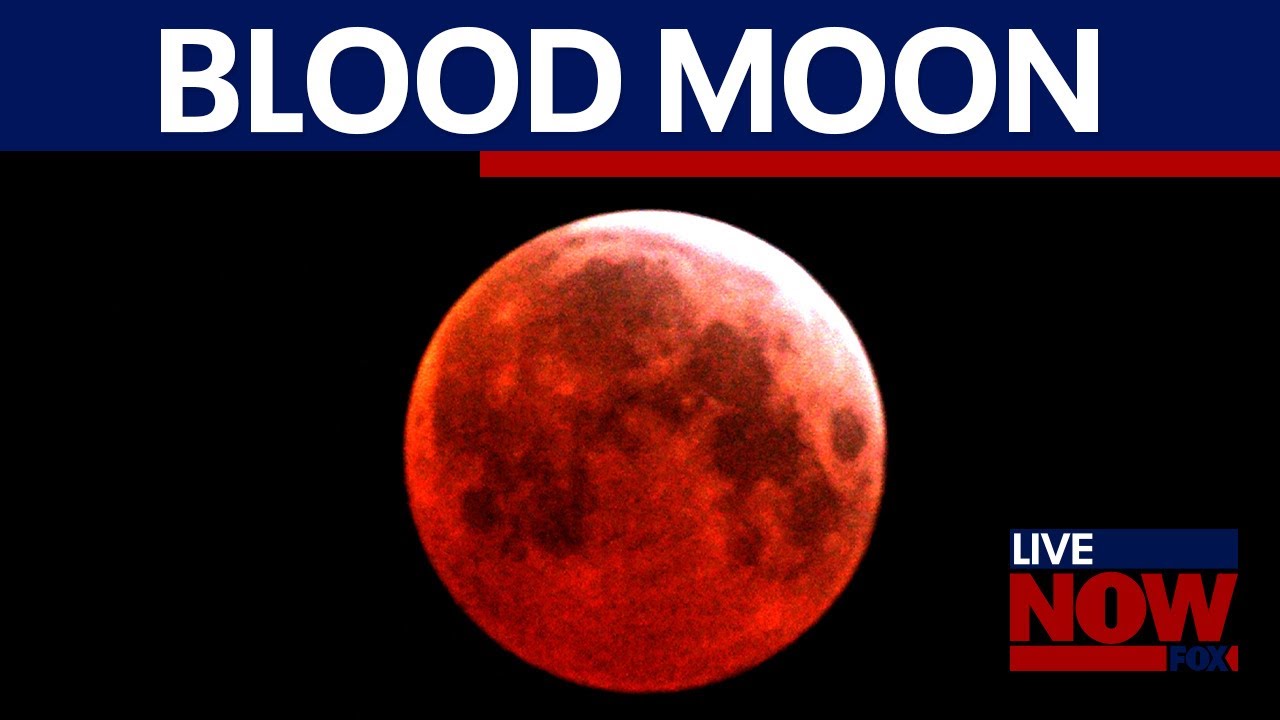 NASA: 'Blood Moon' total lunar eclipse to take place on PI Day | LiveNOW from FOX