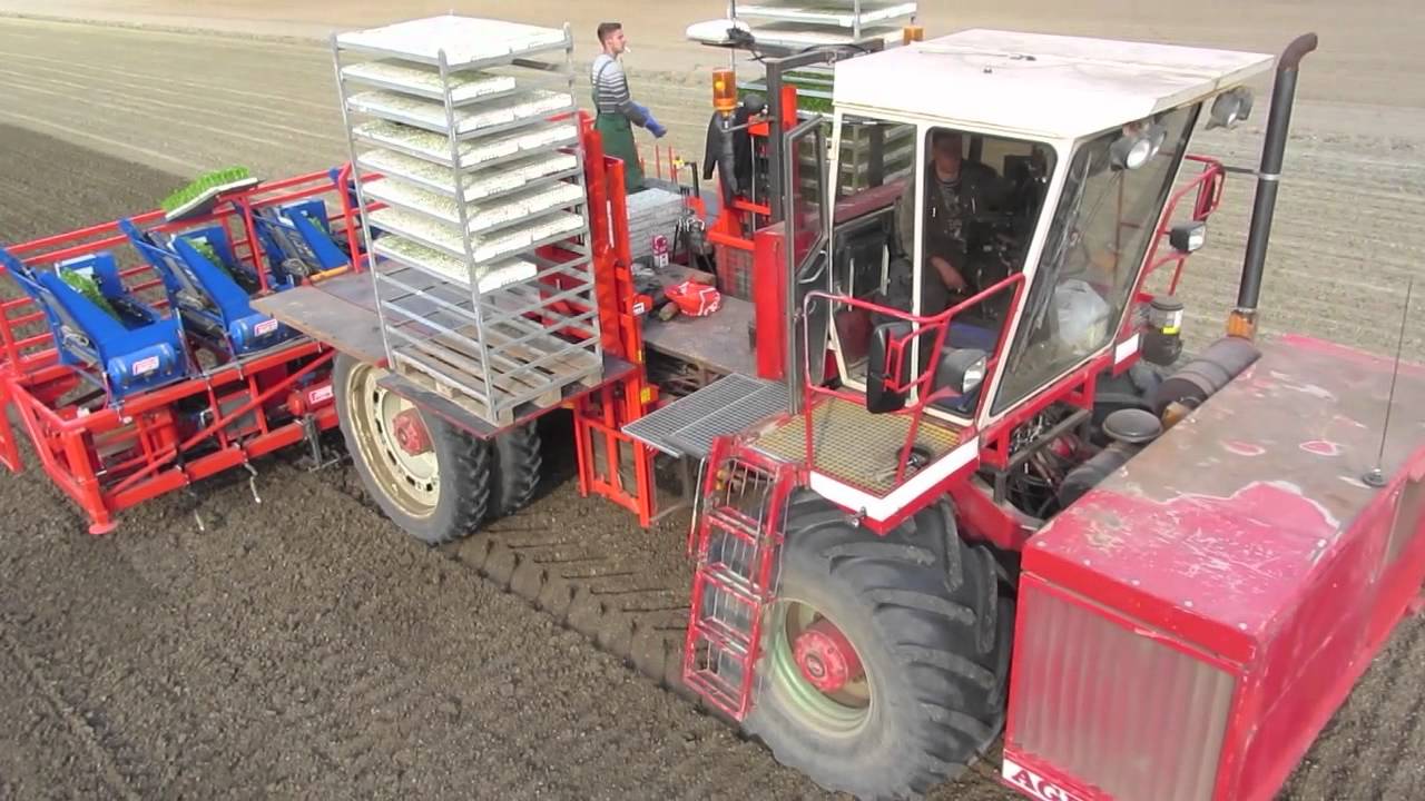 Ferrari Futura Twin 12 Row Automatic planter - Loonbedrijf J.C. Lokers