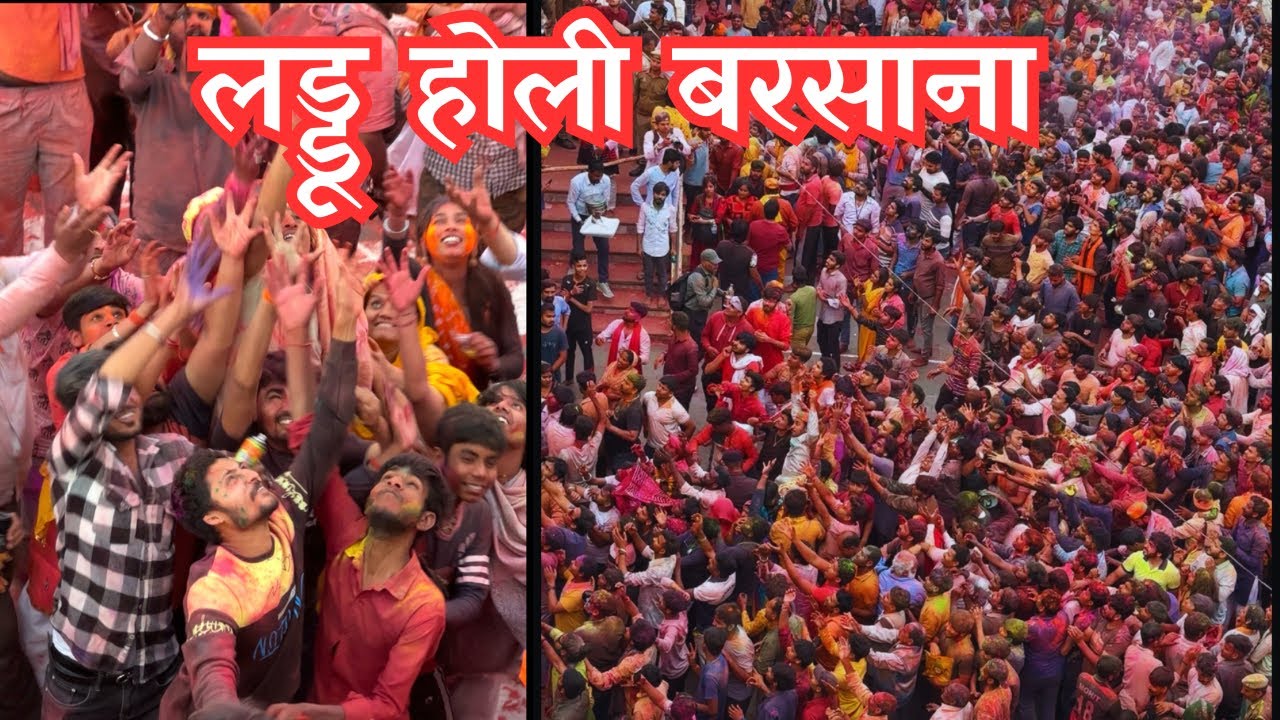 Laddu holi barsana | बरसाना की लड्डू होली  | #barsana #vrindavanholi #holi #brajkiholi