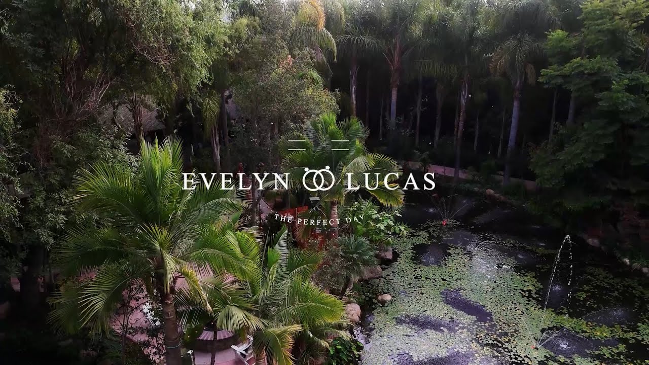 The Perfect Day: A Love Story 11 Years in the Making 💍✨