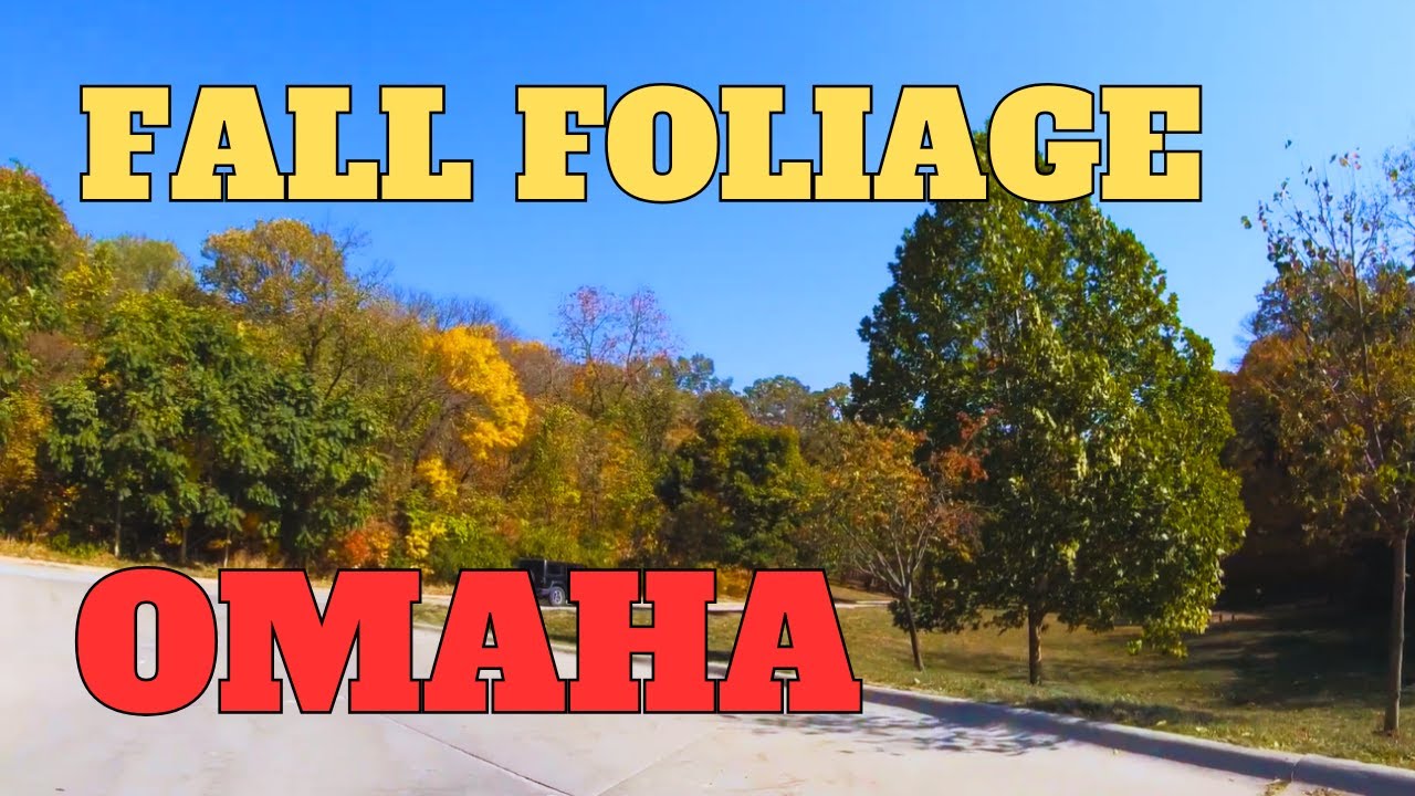Highway Driving Tour | Fall Foliage - Hummel Park | Omaha - Nebraska | USA | Best Car Travels