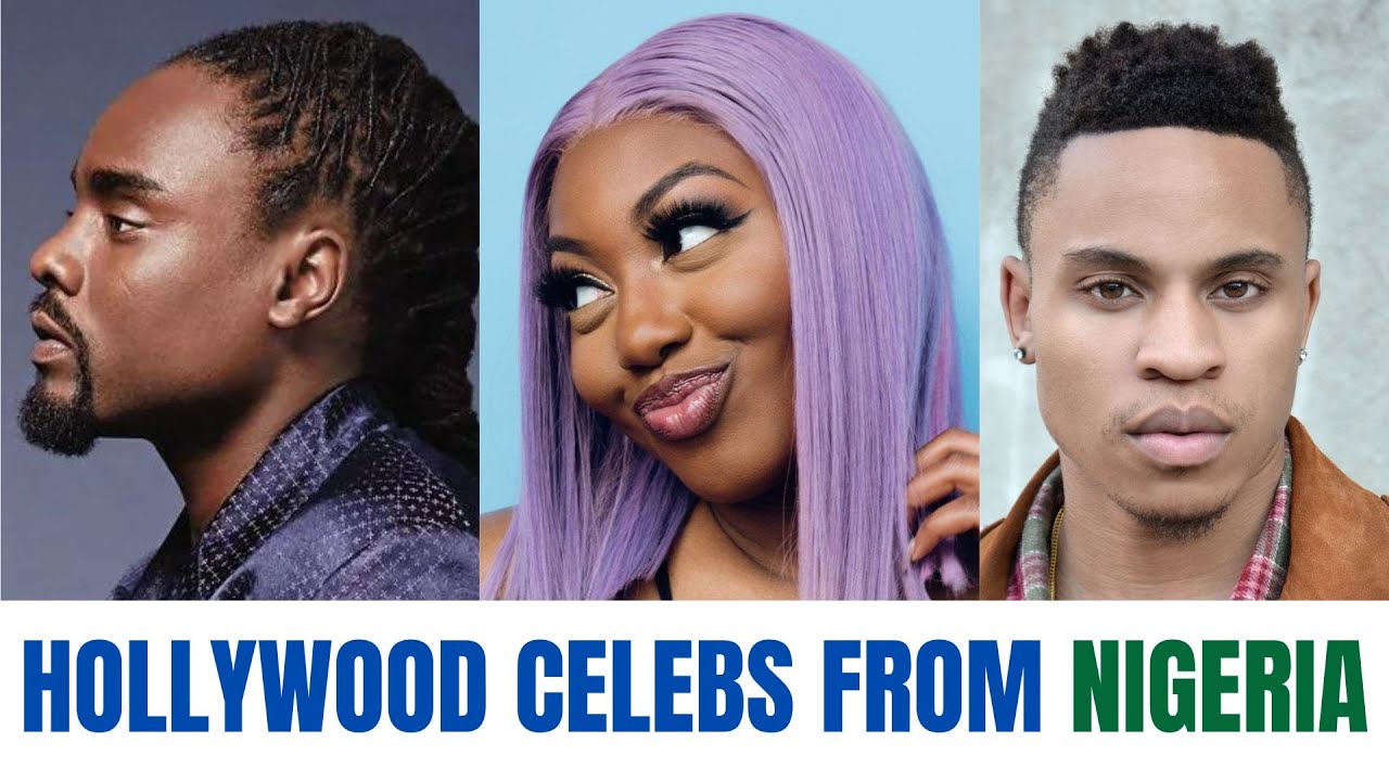 FAMOUS NIGERIAN CELEBRITIRES IN HOLLYWOOD (PART 1)