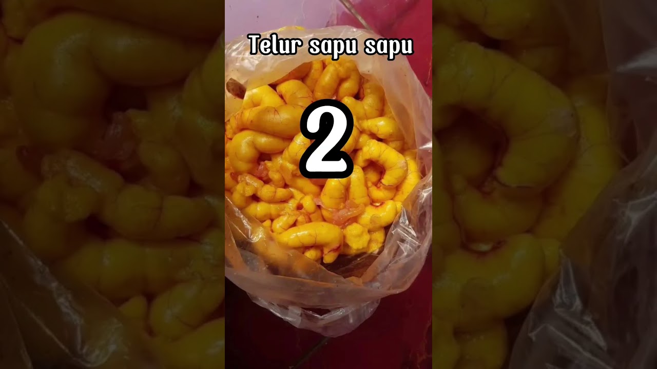 Самая крутая наживка для сома #шорты