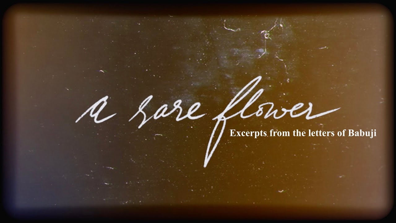 A Rare Flower – Letters of Babuji | Heart Notes | Heartfulness meditation