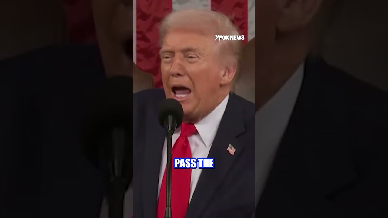 Here's every time Trump SLAMMED Dems for not standing up during SOTU