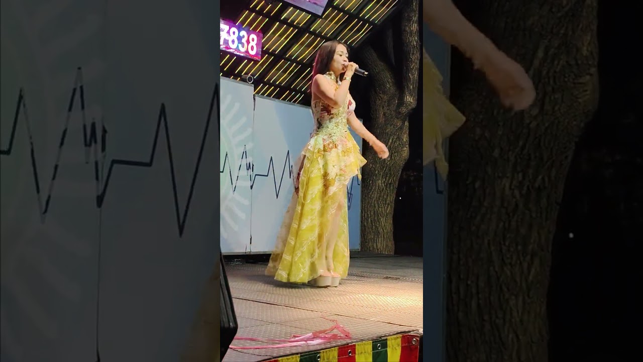 恭祝萬善公廟萬善公萬應婆聖誕千秋東東演唱一帆風順