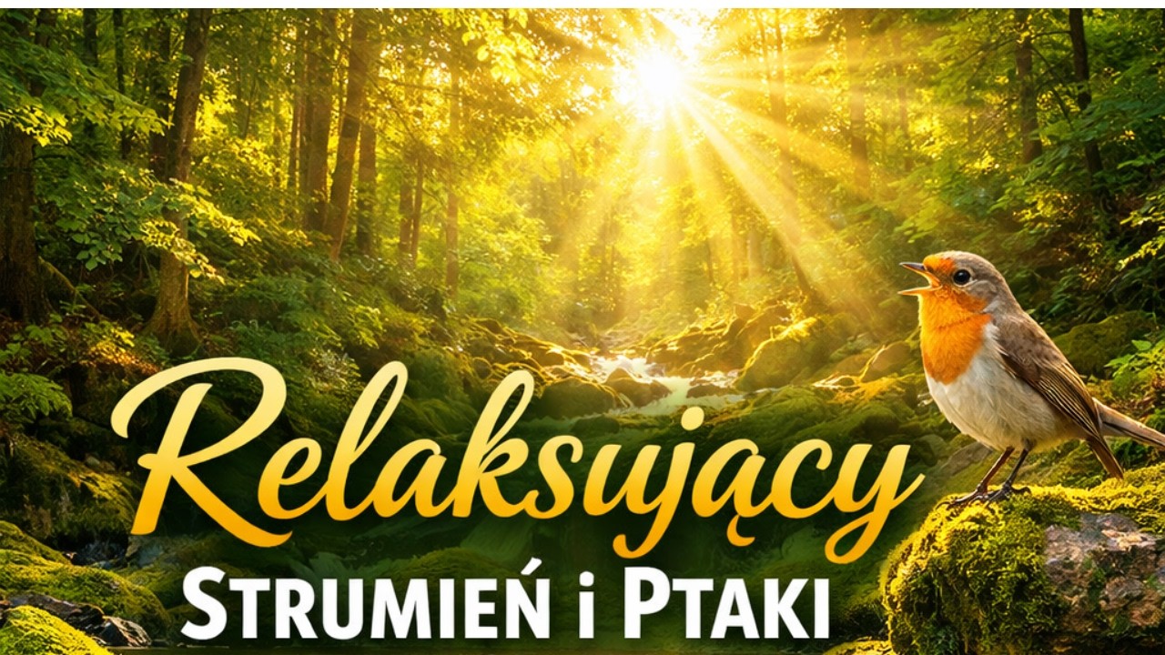 Relaksujące Dźwięki Natury 🌿 Strumień i Śpiew Ptaków | Głęboki Relaks, Sen i Medytacja