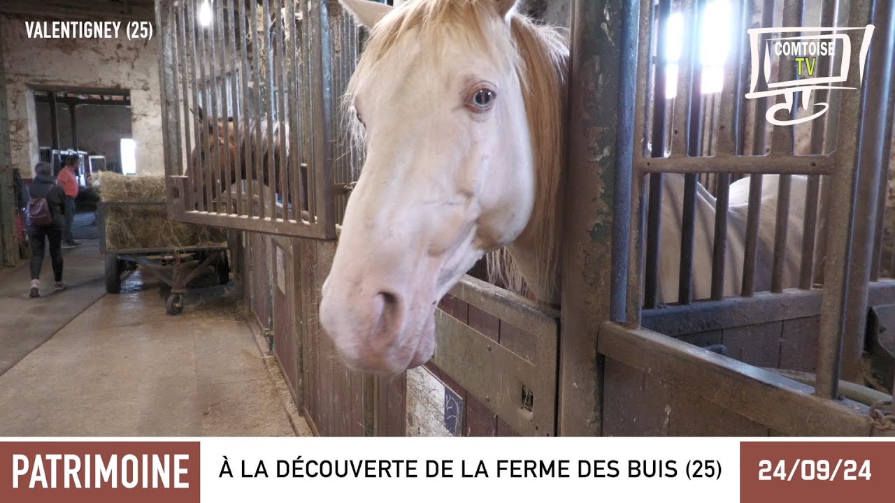 PATRIMOINE LOCAL , LA FERME DES BUIS &Agrave; VALENTIGNEY (25)
