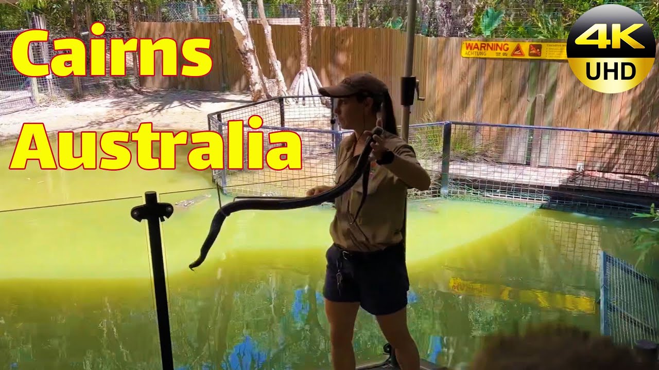 Cairns Snake Show Hartley's Crocodile Adventures | Sydney Walking Tour