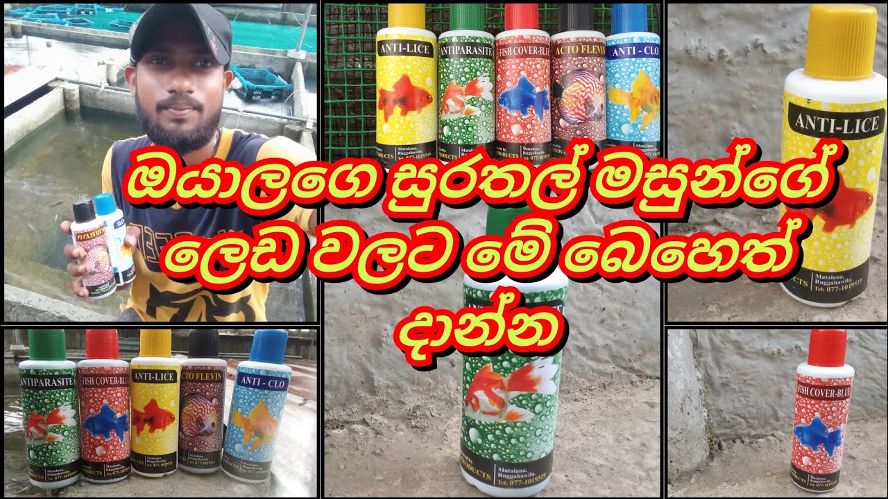 🐬මාලුන්ගේ ලෙඩ වලට දාන බෙහෙත් වර්ග🐬Medicines to the sick of pet fish🐬
