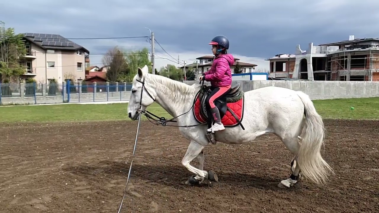 Trap saltat cu incetinitorul (slow motion rising trot) - Miru pe Jully