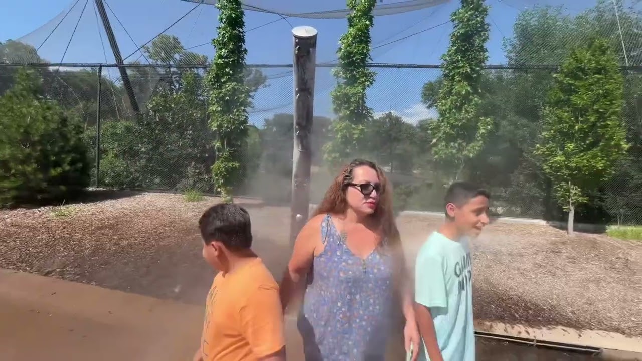 Sea Lion & Gorilla Valley Tour at Omaha Zoo Enjoy