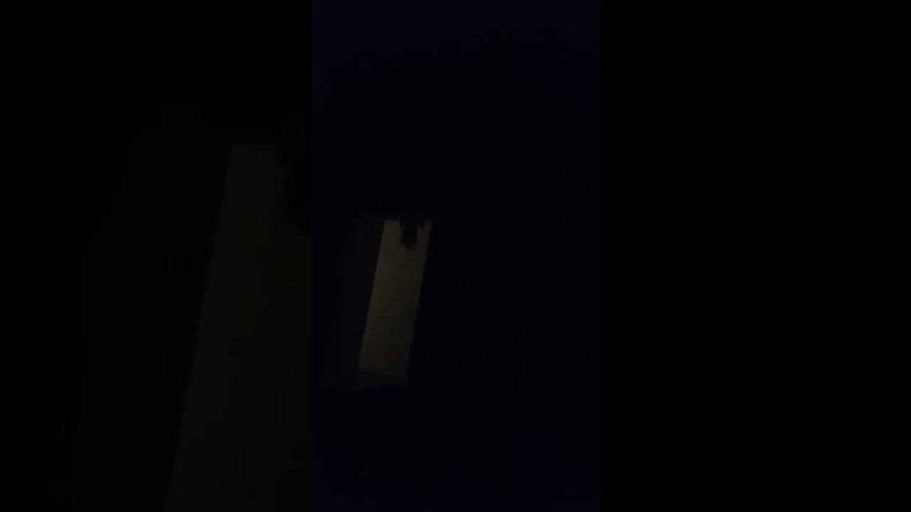 صباح الرزق