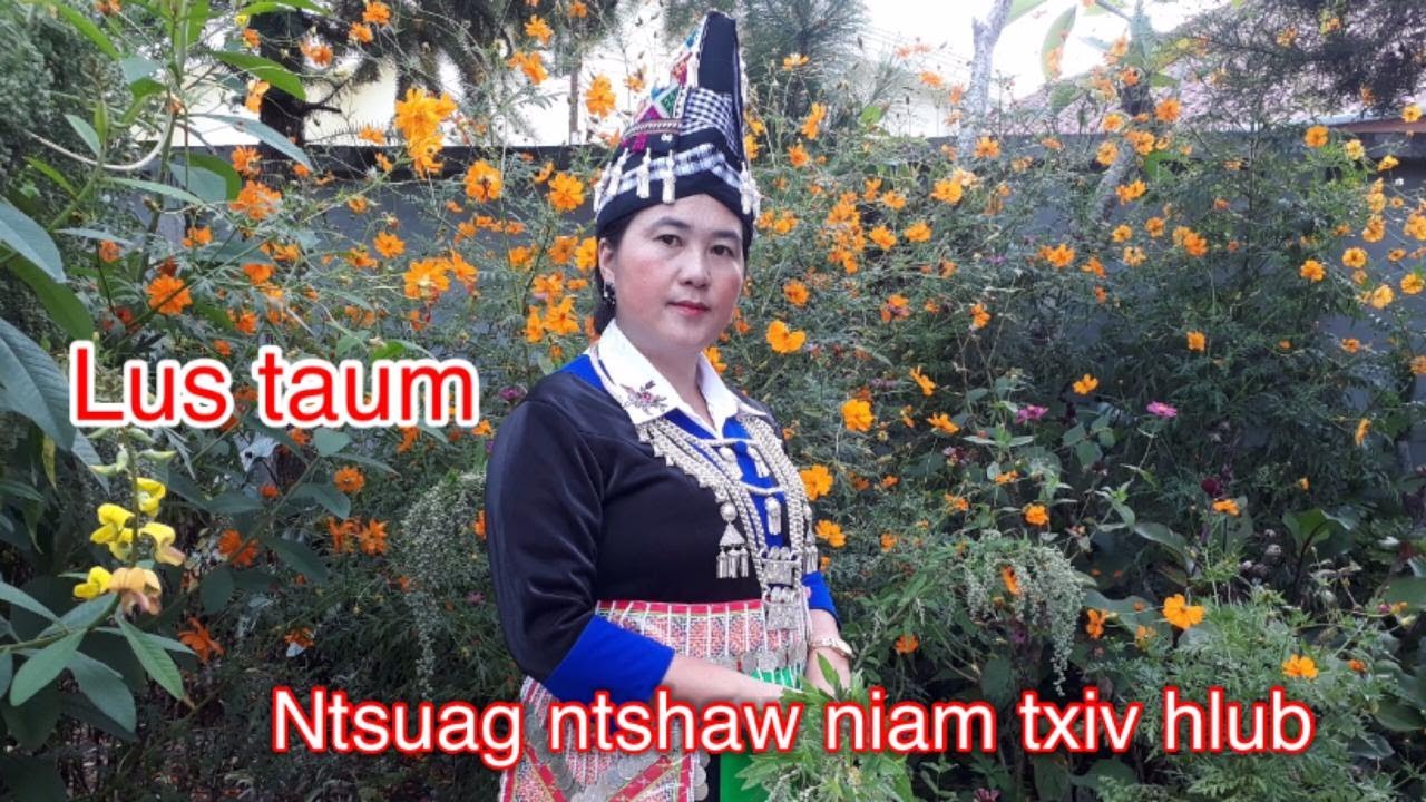Maiv ong yaj lus taum ntsuag ntshaw niam txiv hlub