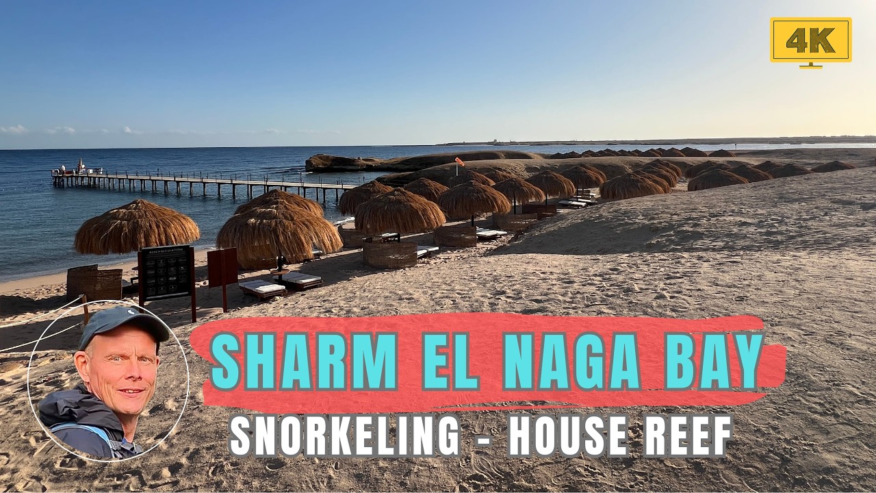 Naga Bay - Sharm el Naga - House Reef - Snorkeling - jetty from the Sentido Naga Bay [4K]