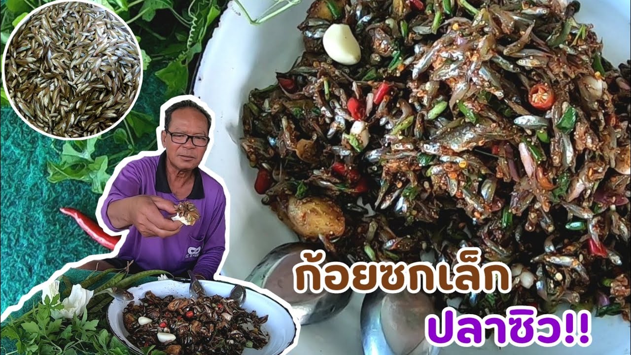 ก้อยซกเล็กปลาซิว!! น้ำลายแตกน้ำลายแตน ปลาสดๆส่อนมาใหม่ขี่ขมอ่ำหล่ำ สุดยอด