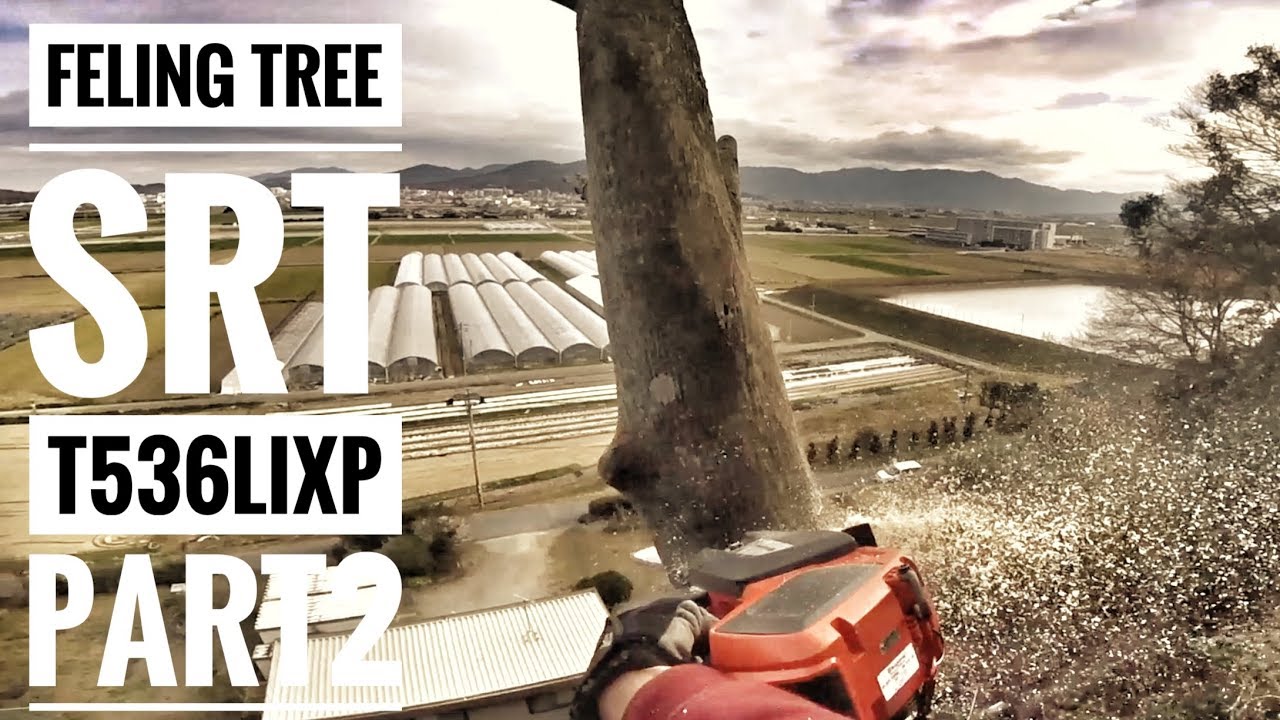 Felling SRT Ddrt Tree Climbing Husqvarna T536LiXP/ Part 2