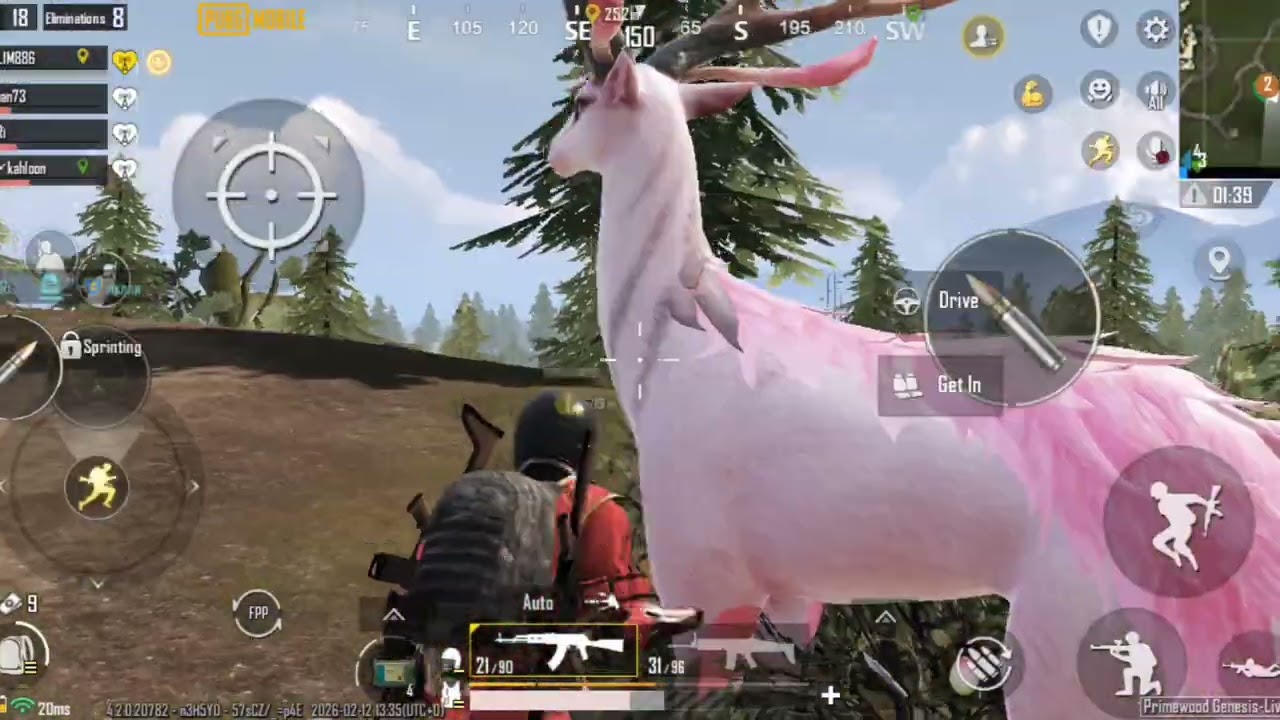 Target killers 15 plus 