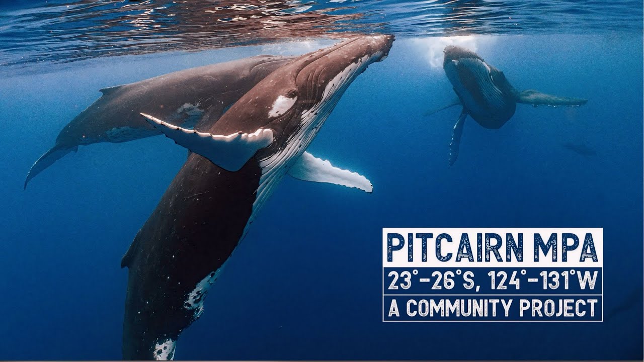 Pitcairn MPA : A Community Project  - Protect Blue
