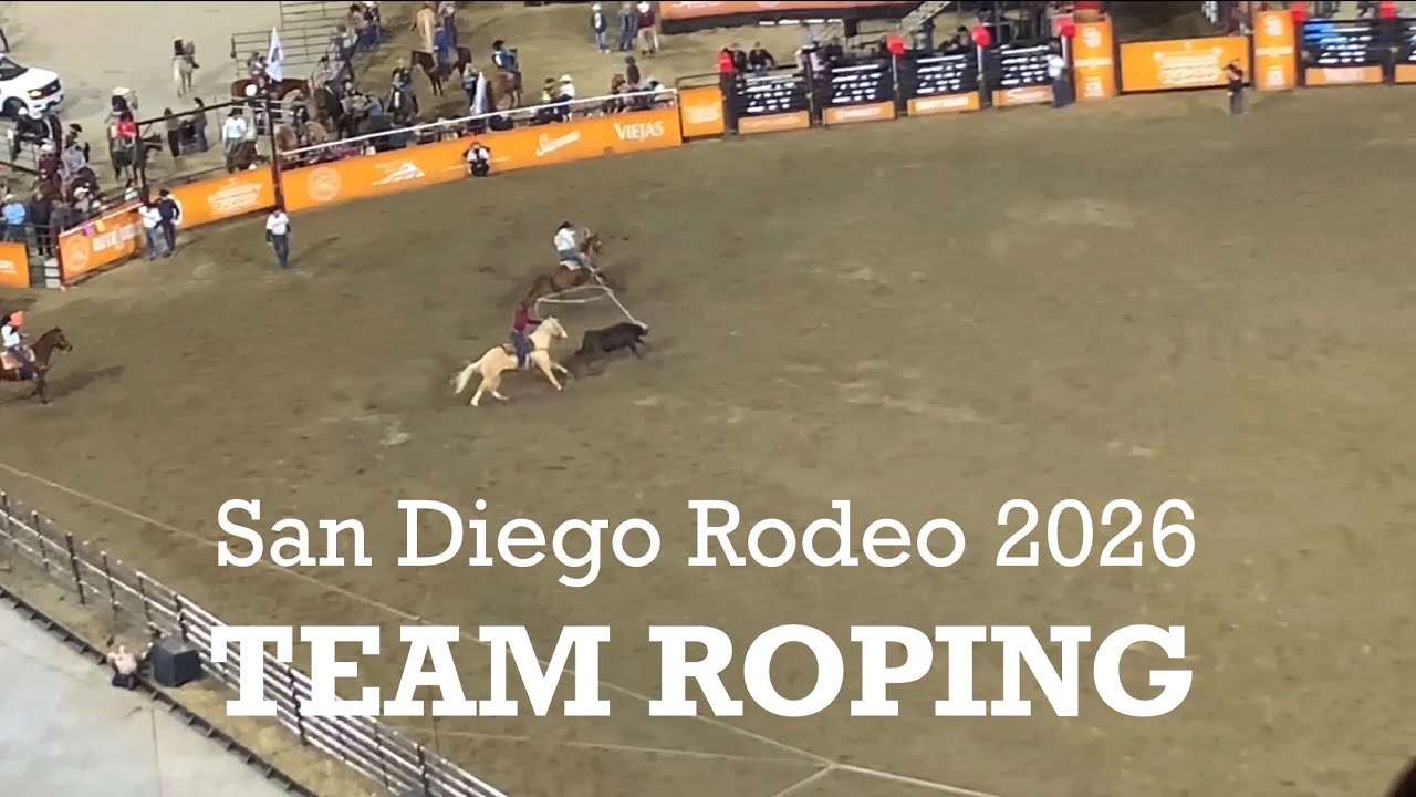 Team Roping at the San Diego Rodeo 