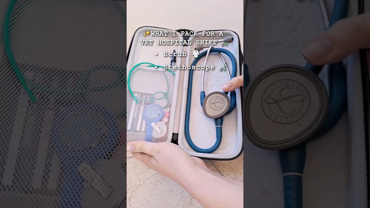 🎒What&rsquo;s in my vet student bag (night shift edition)