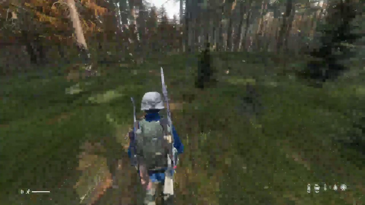 Dayz