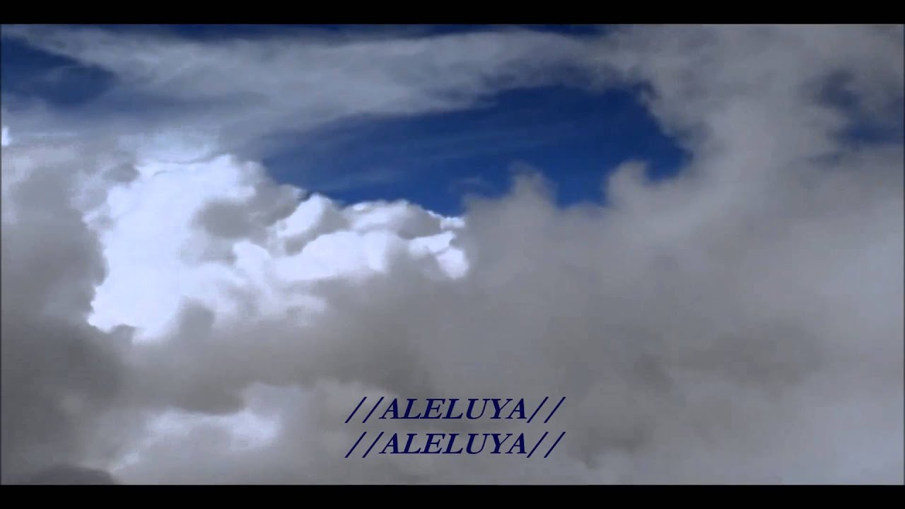 12. Aleluya, adora al Rey.