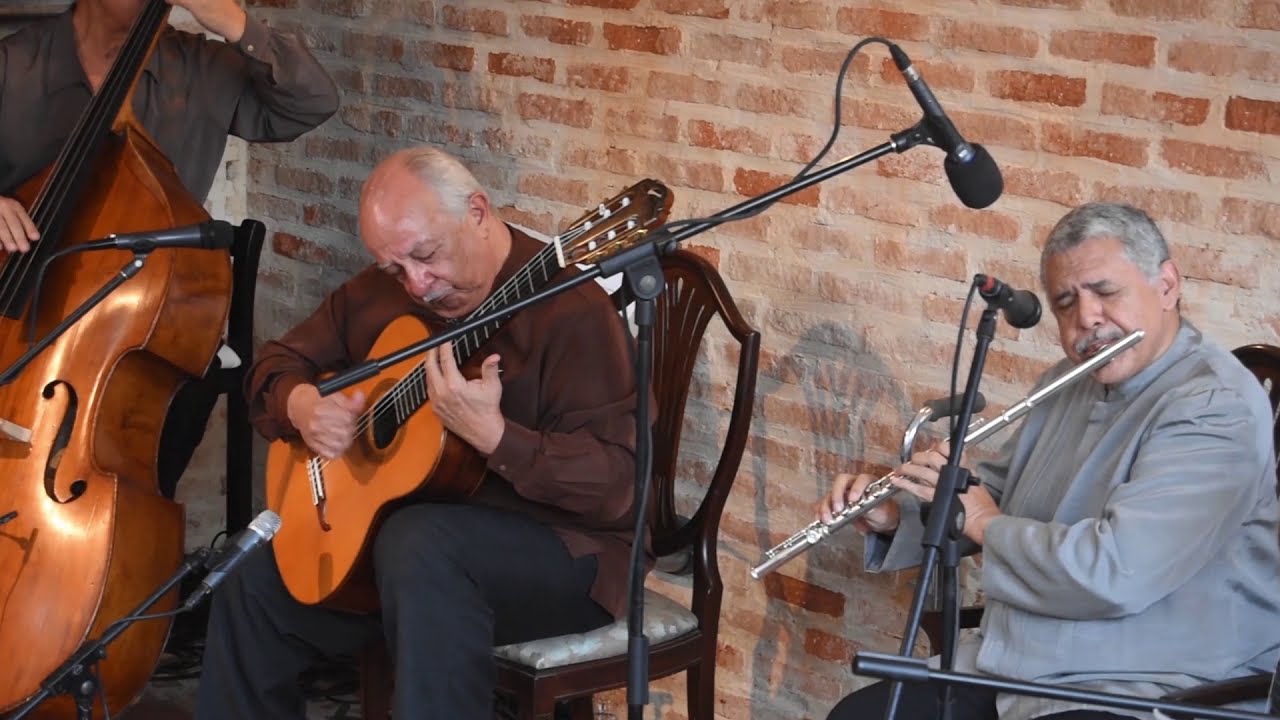Viajera del Río (Manuel Yánez) House Concert - El Cuarteto [Venezuela]