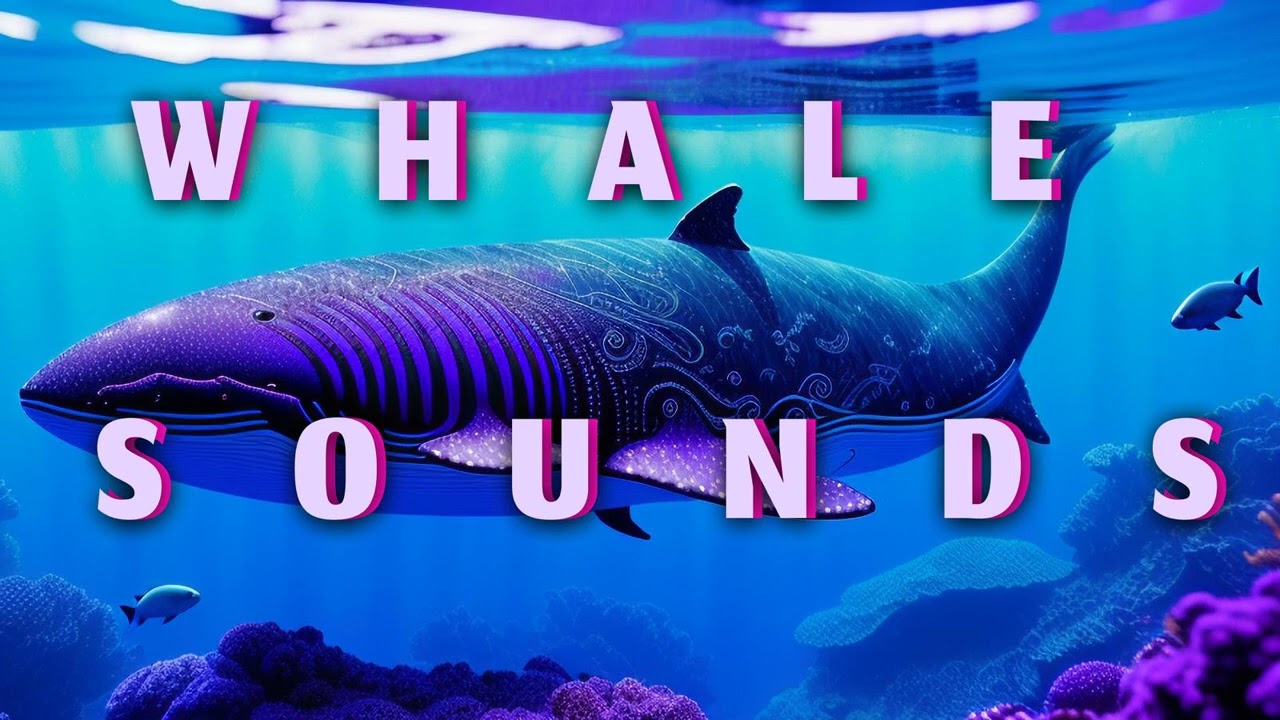 Whale Sounds for Wildlife Observation  Creating a Natural Atmosphere for Animal Study