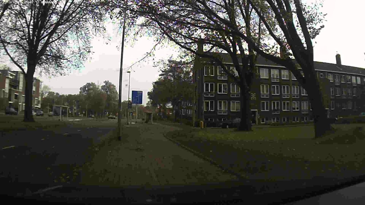 Boom aan Wijk aan Duinerweg in Beverwijk valt om