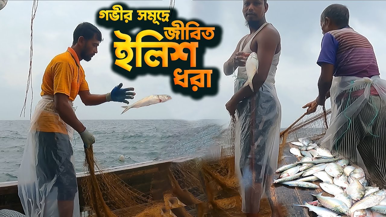 জীবন বাজি রেখে জীবিত ইলিশ মাছ ধরায় ব্যাস্ত জেলেরা | Deep Sea Fishing | Adventure BD