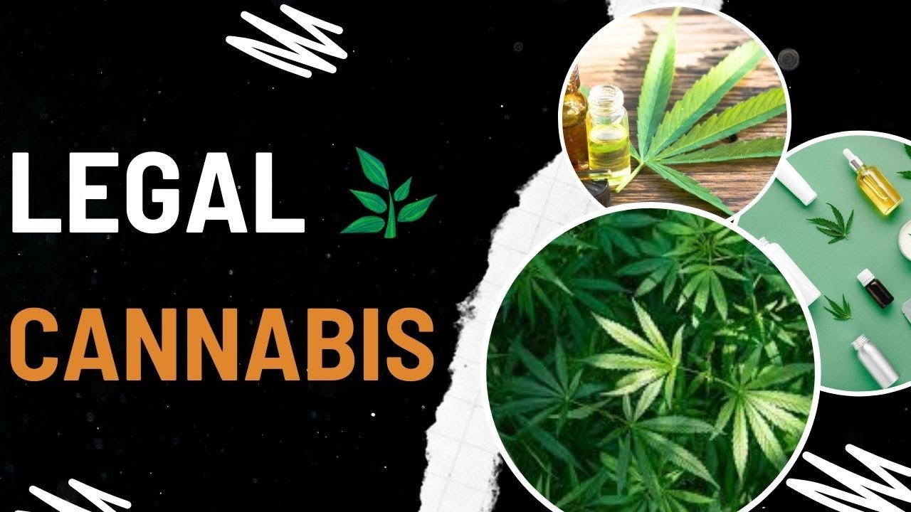 Top 5 Legal Cannabis Destination ||  World's Best Cannabis Culture || Marijuana Wonderlands ||
