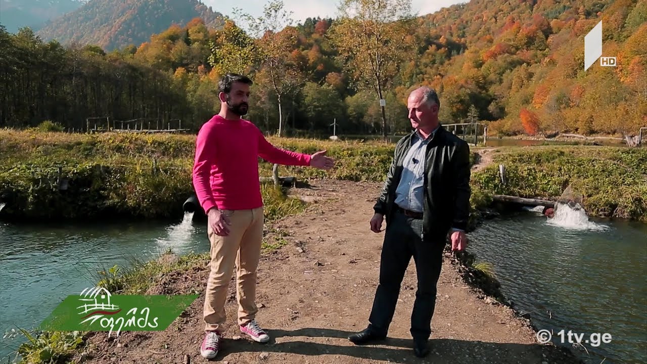 #ფერმა ყველაფერი თევზის მოშენების შესახებ - რჩევები წარმატებული ფერმერისაგან