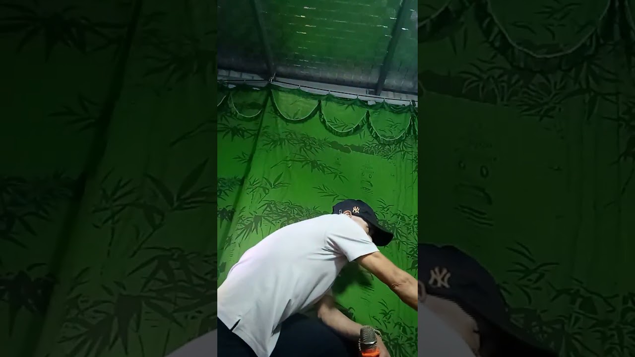 Tạ từ trong đêm 