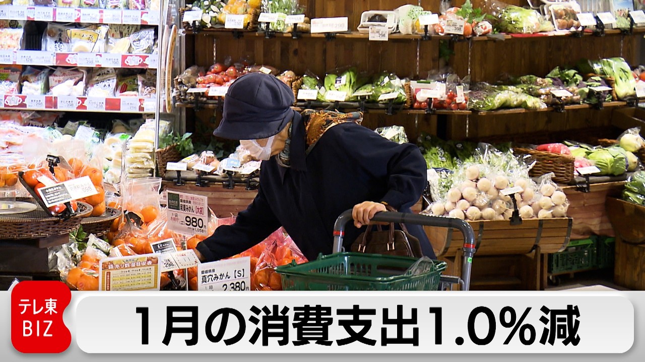 1月の消費支出1.0％減　2カ月連続でマイナス